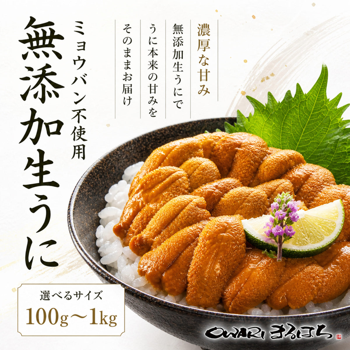 尾張まるはち うに 無添加 刺身用 【選べるサイズ】100g～1kg – OWARI