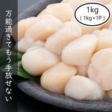 ホタテ 貝柱 刺身用 北海道産 冷凍
