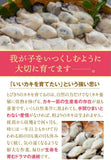 尾張まるはち ジャンボ生剥き牡蠣 冷凍