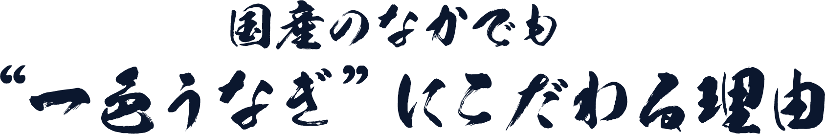 国産のなかでも“一色うなぎ”にこだわる理由