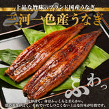 尾張まるはち 三河一色産うなぎ蒲焼 化粧箱入 頭なし約160g【選べる尾数】1～3尾セット