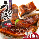 尾張まるはち 三河一色産うなぎ蒲焼 化粧箱入 頭なし約160g【選べる尾数】1～3尾セット