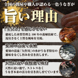 尾張まるはち 三河一色産うなぎ蒲焼 化粧箱入 頭なし約160g【選べる尾数】1～3尾セット