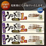 尾張まるはち 三河一色産うなぎ蒲焼 化粧箱入 頭なし約160g【選べる尾数】1～3尾セット