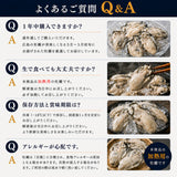 尾張まるはち ジャンボ 生剥き 牡蠣 【選べるサイズ】1kg～4kg