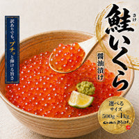 訳あり 尾張まるはち いくら 醤油漬け 鮭卵 冷凍 【選べるサイズ】500g