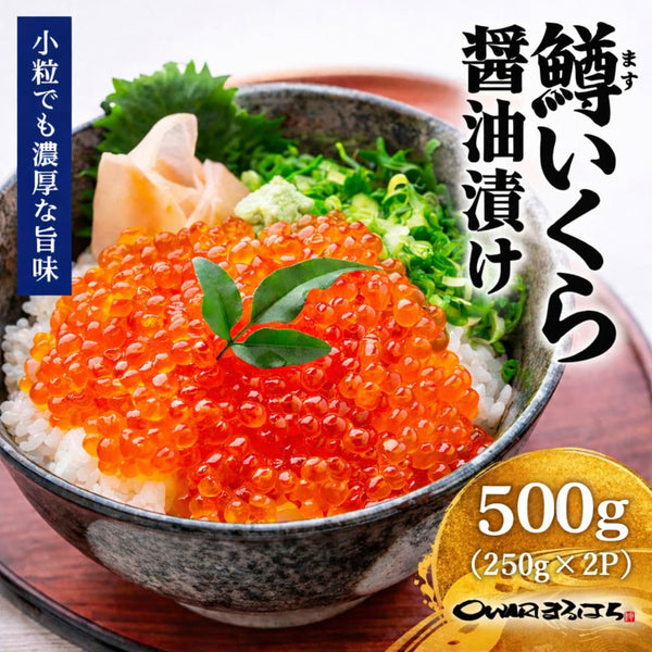 尾張まるはち いくら 醤油漬け 冷凍 鱒卵 【選べるサイズ】100g～1