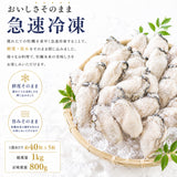 尾張まるはち ジャンボ 生剥き 牡蠣 【選べるサイズ】1kg～4kg