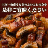 尾張まるはち 三河一色産 うなぎまぶしセット｜国産刻みうなぎで楽しむ本格うなぎまぶし 選べる2人前 or 4人前 タレ・だし・刻み海苔付き