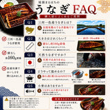 尾張まるはち 三河一色産うなぎ蒲焼 化粧箱入 頭なし約160g【選べる尾数】1～3尾セット