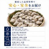 尾張まるはち ジャンボ 生剥き 牡蠣 【選べるサイズ】1kg～4kg