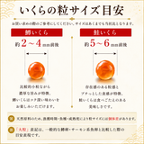 尾張まるはち いくら 醤油漬け 冷凍 鱒卵 【選べるサイズ】100g～1㎏
