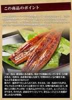うなぎ蒲焼 国産一色産 特大 真空パック 1尾約160g