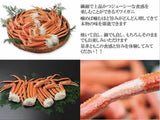 OWARI 生本ズワイガニ 刺身用 カニ脚剥き身(ポーション) 冷凍