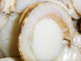 OWARI ホタテ 貝柱 紐付き ボイル 剥き身 冷凍 北海道産 1kg